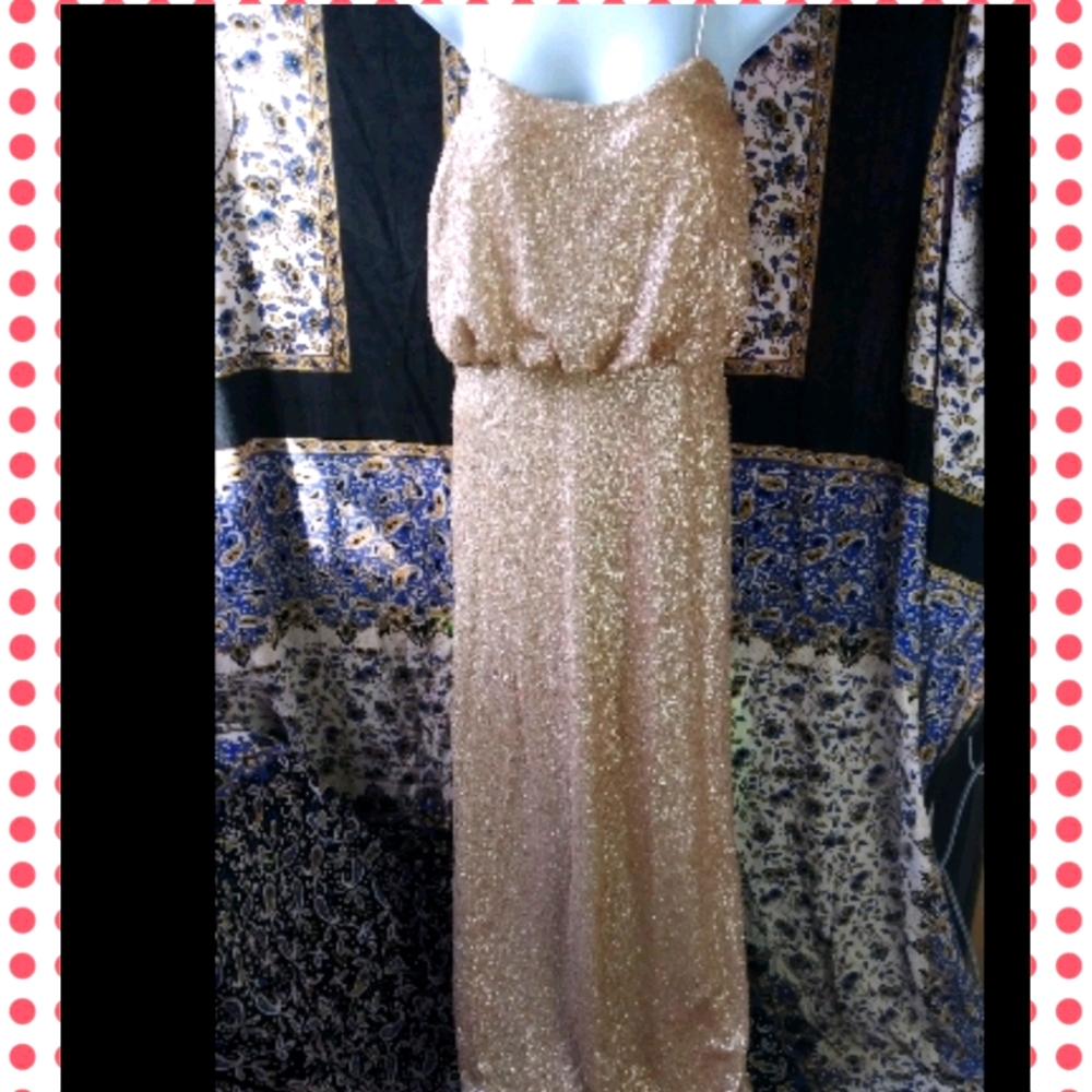 Pink Blush Champagne Gown